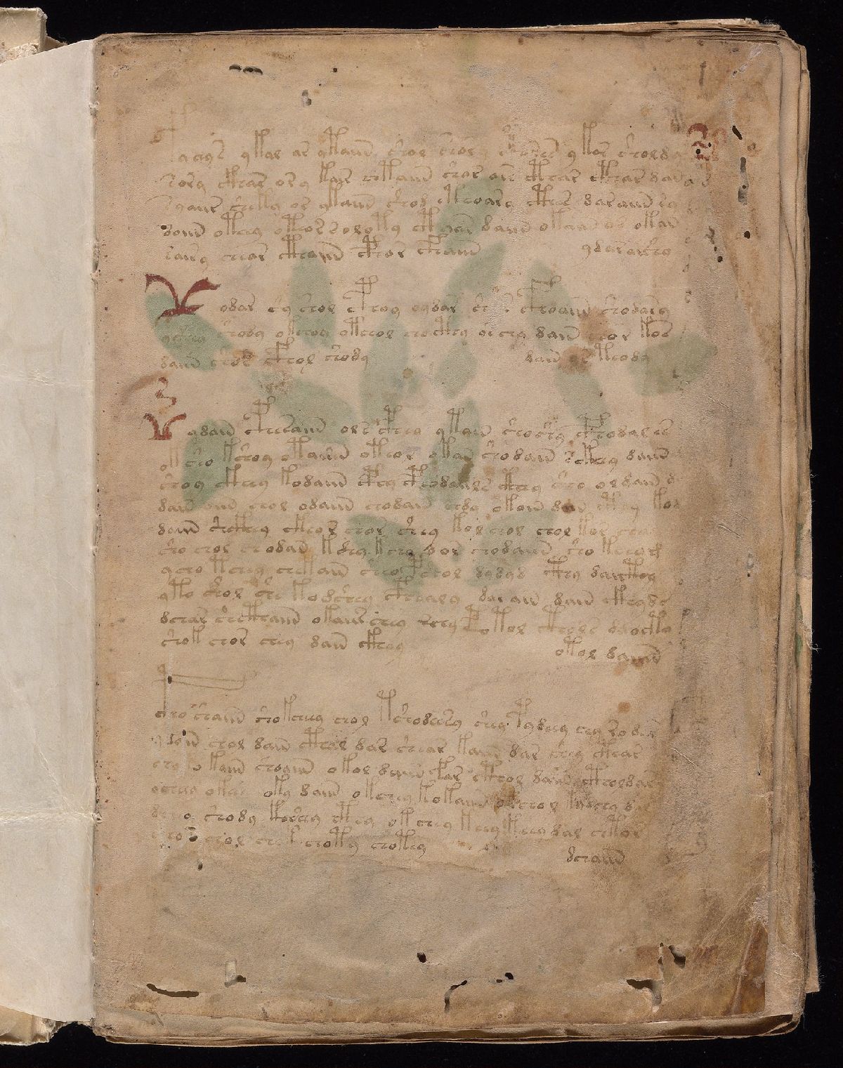 Beinecke MS 408, folio 1r