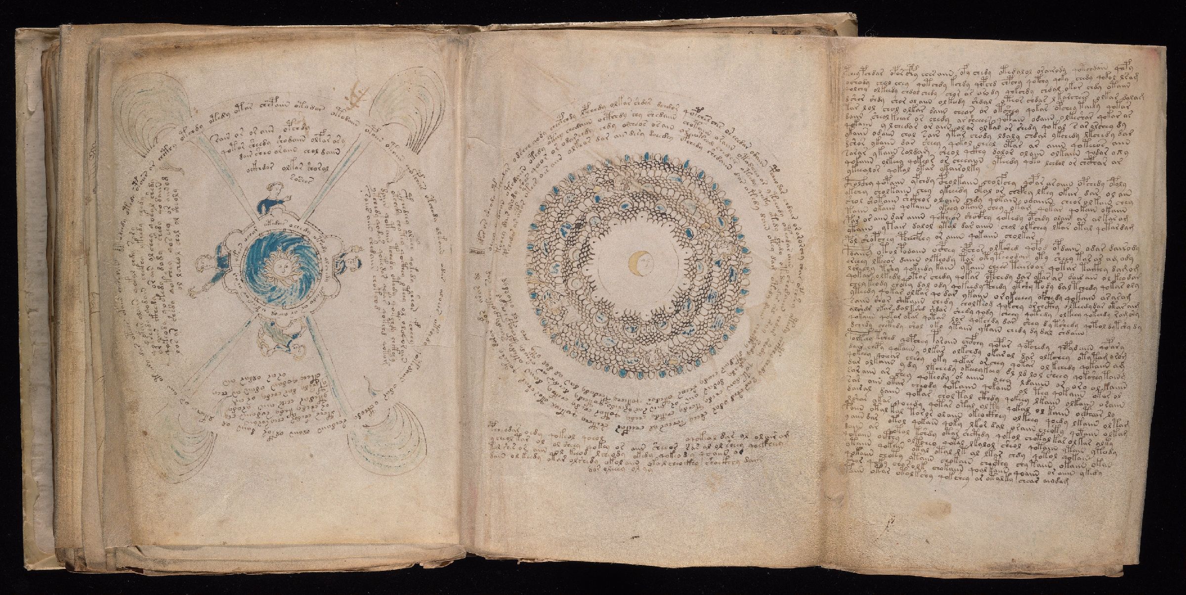 The opened Voynich manuscript foldout, folios 85r to 86v, showing circular astronomical diagrams and handwritten text